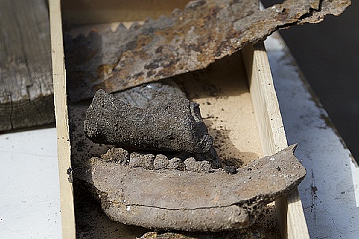 В слое XIV-XVII веков, протянувшемся под современной мостовой, археологи обнаружили несколько сотен тысяч коровьих челюстей.