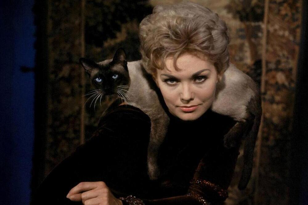 Кадр из фильма "Колокол, книга и свеча" (1958) Кадр из фильма "Колокол, книга и свеча" (1958)