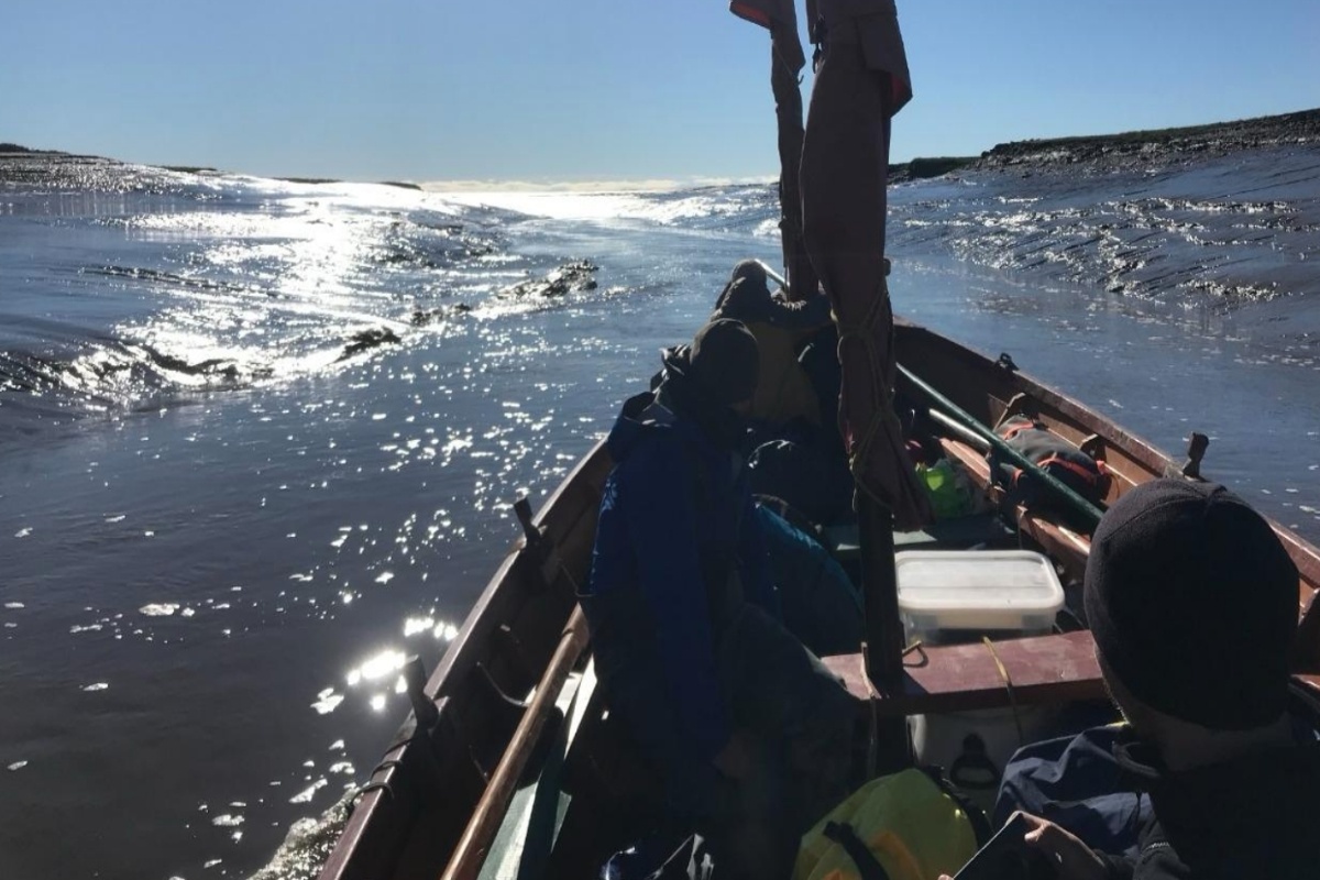 Няша слева и справа за бортом. Няша слева и справа за бортом.