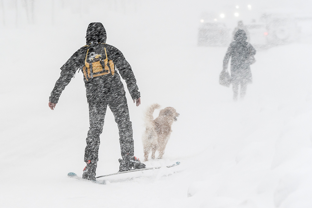 Выяснилось, что преодолевать снежные заносы в городе удобнее всего на лыжах.