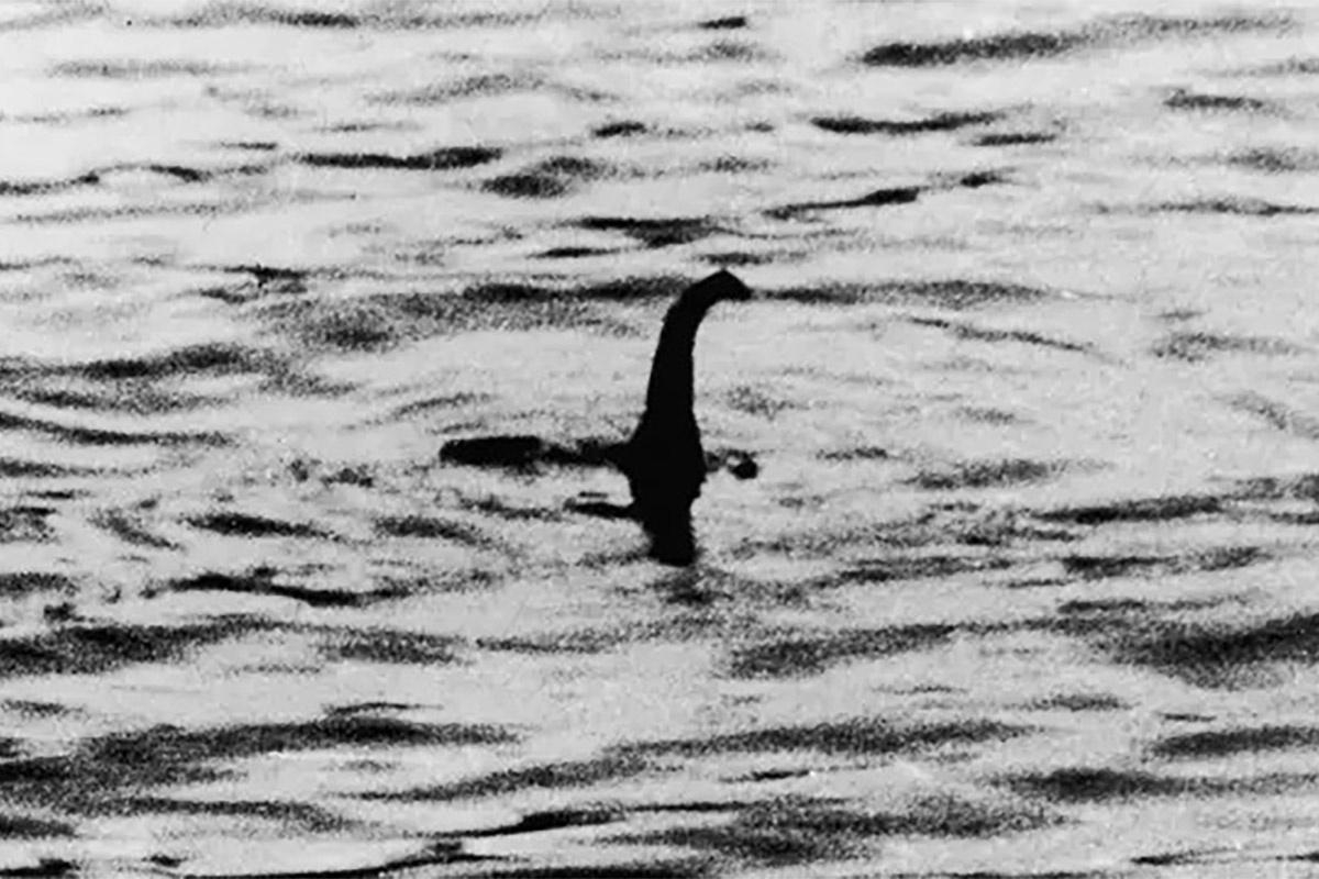 Шайн считает: бесчисленные "наблюдения" Несси, о которых сообщали люди, на самом деле являются результатом "следов корабля". 