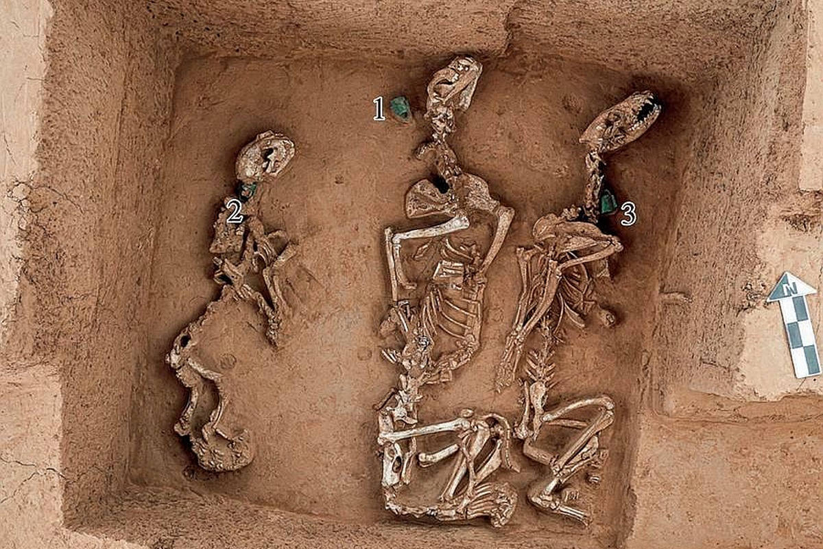 Археологи обнаружили 19 жертвенных ям малого и среднего размера, заполненных костями диких животных. 