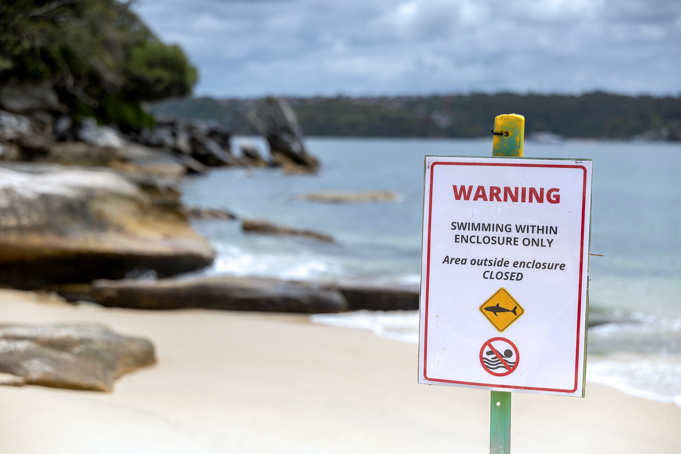 Парк Нильсен, также известного как Акулий пляж. 12-летний мальчик борется за жизнь после получения критических травм ног в результате нападения акулы на скале возле этого популярного пляжа в Сиднее.