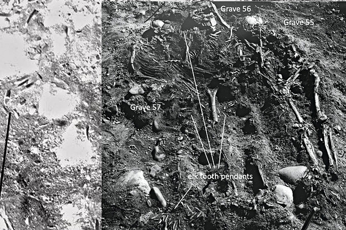 Погребения Оленеостровского могильника. Здесь были обнаружены останки 177 человек.