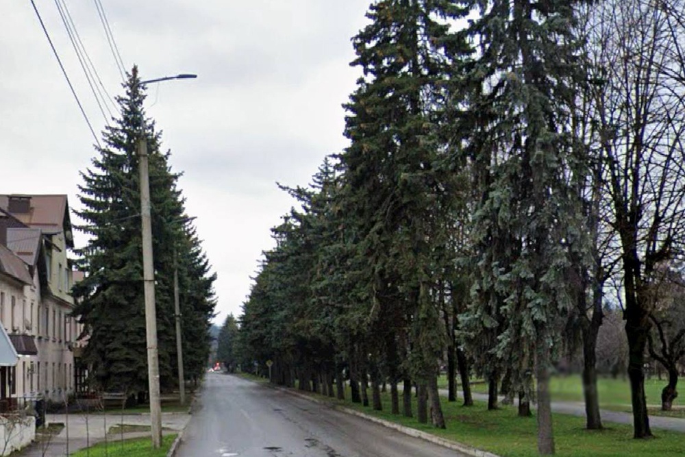 Вот такой зеленой улица Карашаева в Нальчике была раньше.