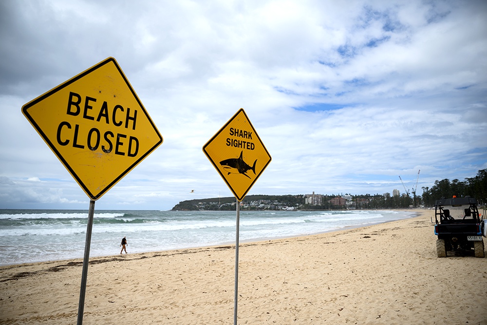 Пляж, на котором в минувшее воскресенье в Сиднее напала акула на 12-летнего мальчика.