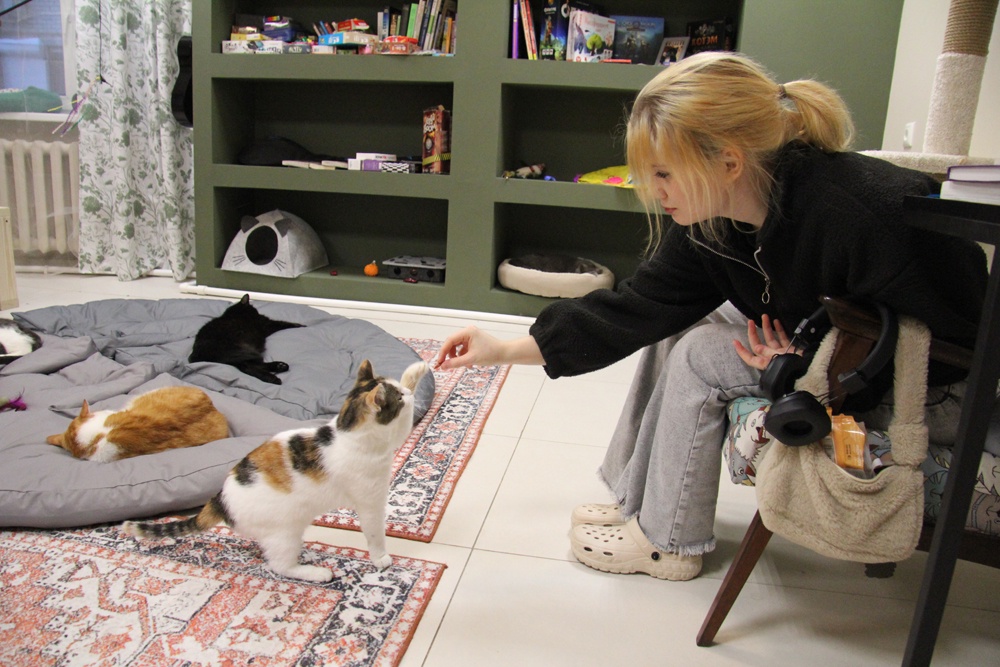 В котокафе можно найти себе благодарного питомца или просто получить удовольствие от общения с животными. В котокафе можно найти себе благодарного питомца или просто получить удовольствие от общения с животными.