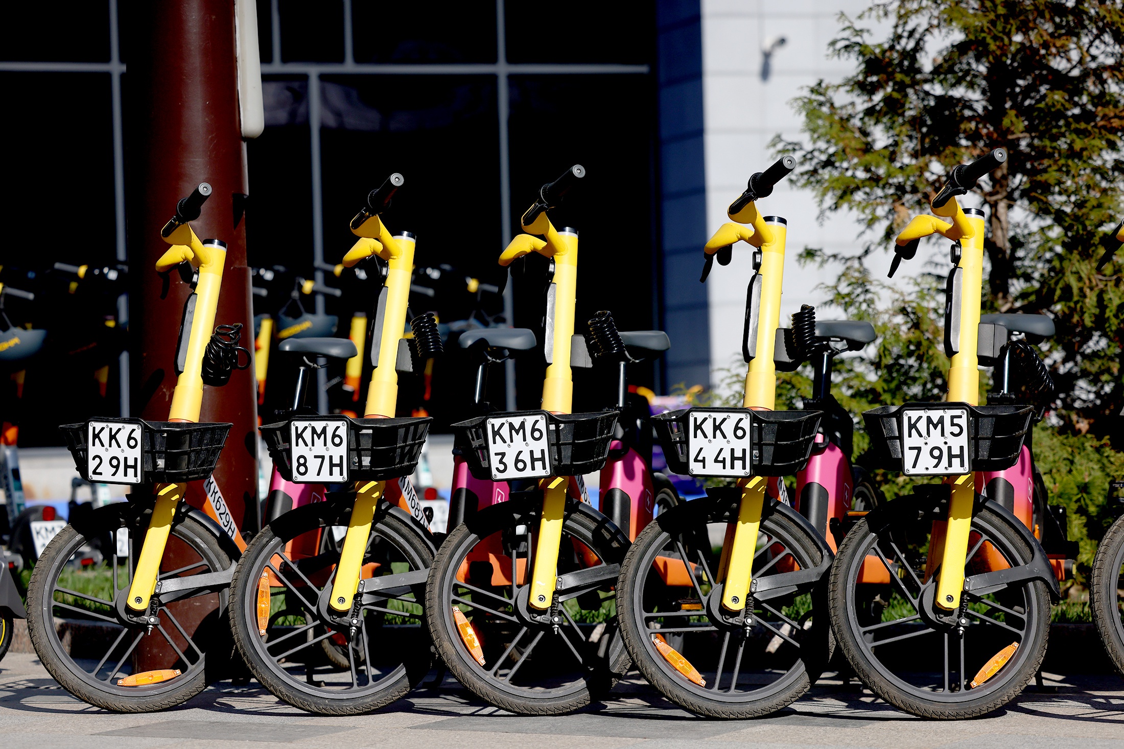 В СФ предложили законодательно запретить управление самокатами в нетрезвом виде
