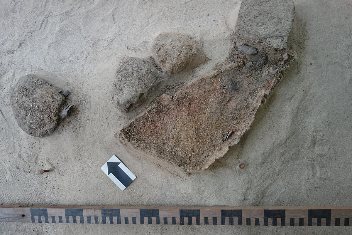 Возле очага исследователи нашли самое большое количество артефактов за всю историю работ на "Коврижке". В их числе были чешуйки, скребки, ножи, резцы.