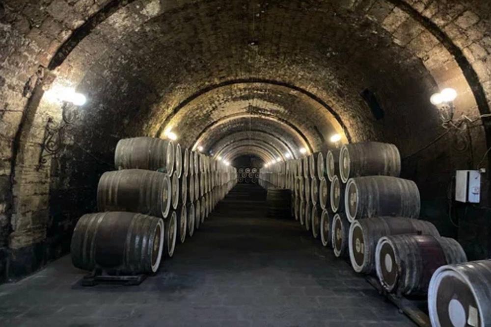 Подвалы были построены на глубине 12 метров с толщиной стен до полутора метров, что позволяло круглый год сохранять комфортную для хранения вин температуру.