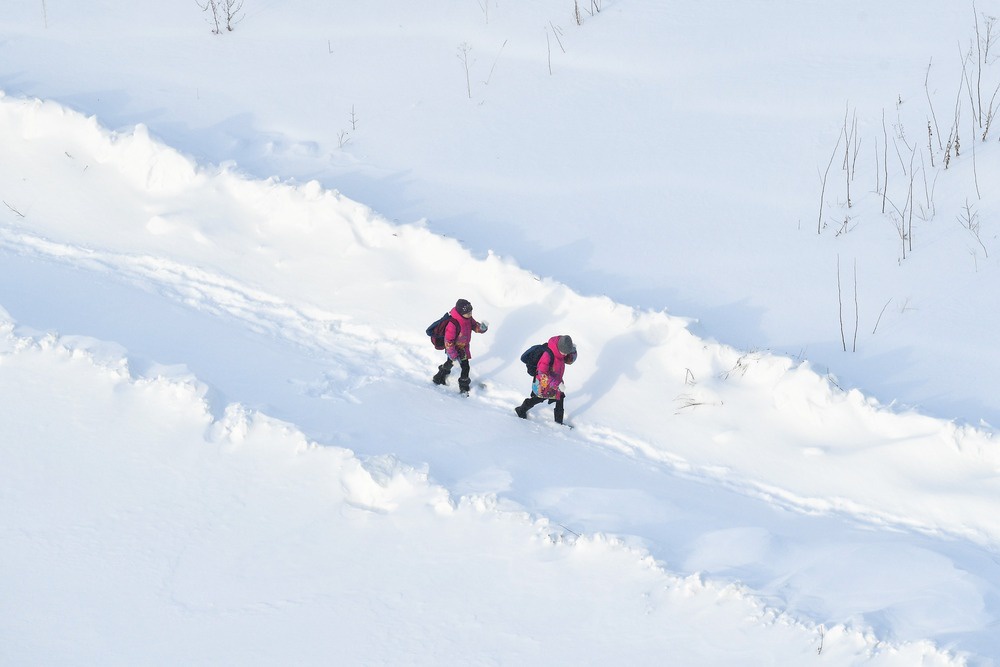Дорога на уроки бывает очень трудной, когда нарушено правило: от дома до школы должно быть не более 500 метров.