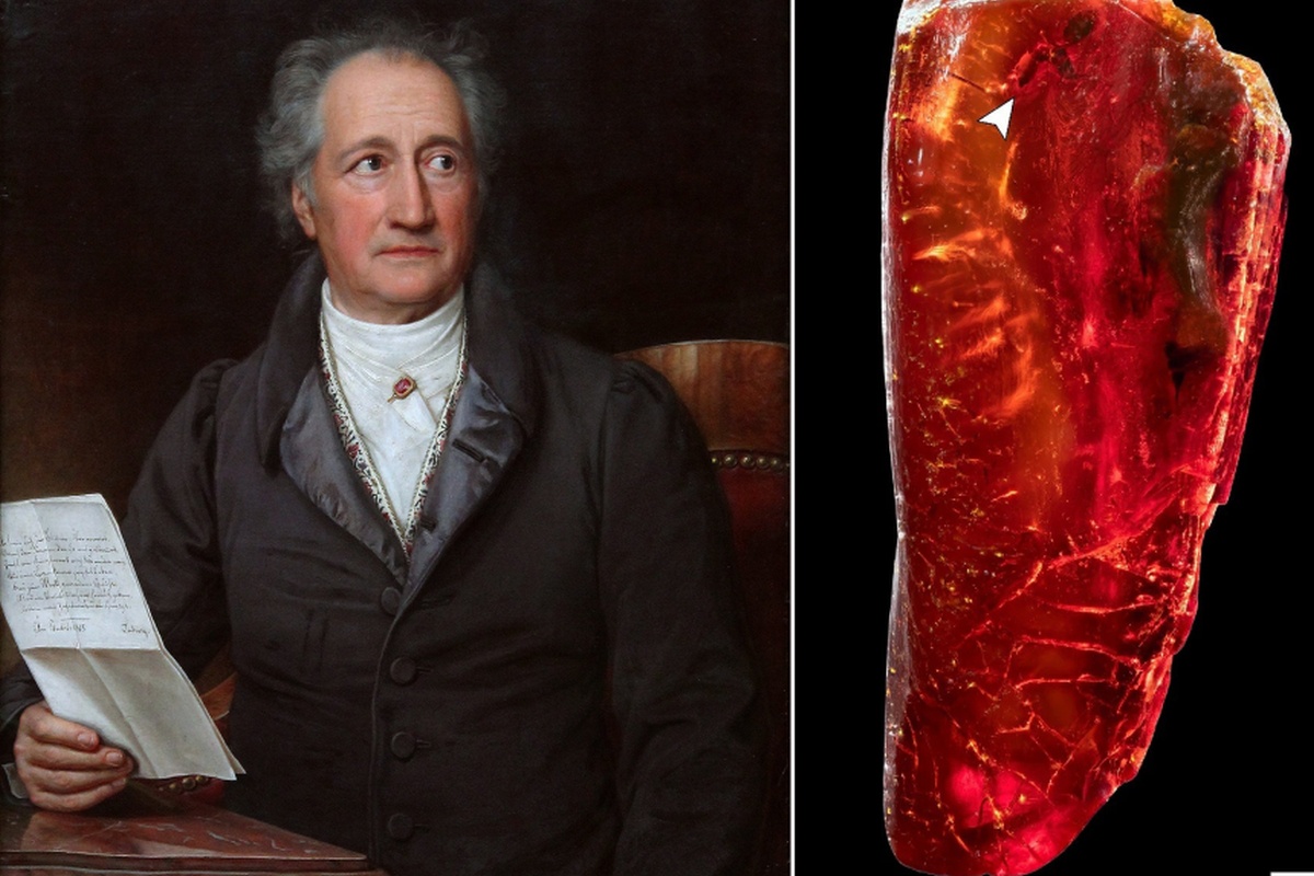 О древнем муравье (отмечен стрелкой на фото справа) в своей коллекции Гете даже не догадывался. Лишь современные методы позволяют "просвечивать" содержимое непрозрачных объектов без их повреждения.