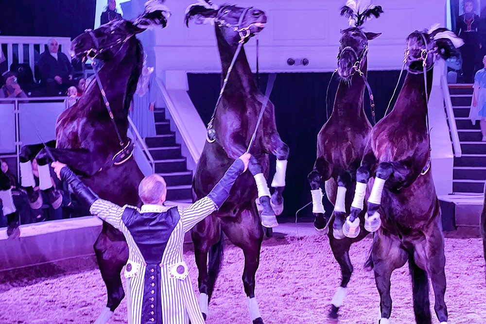 انتهى موسم الشتاء لعروض الفروسية في موسكو وتم الإعلان عن موسم الربيع والصيف