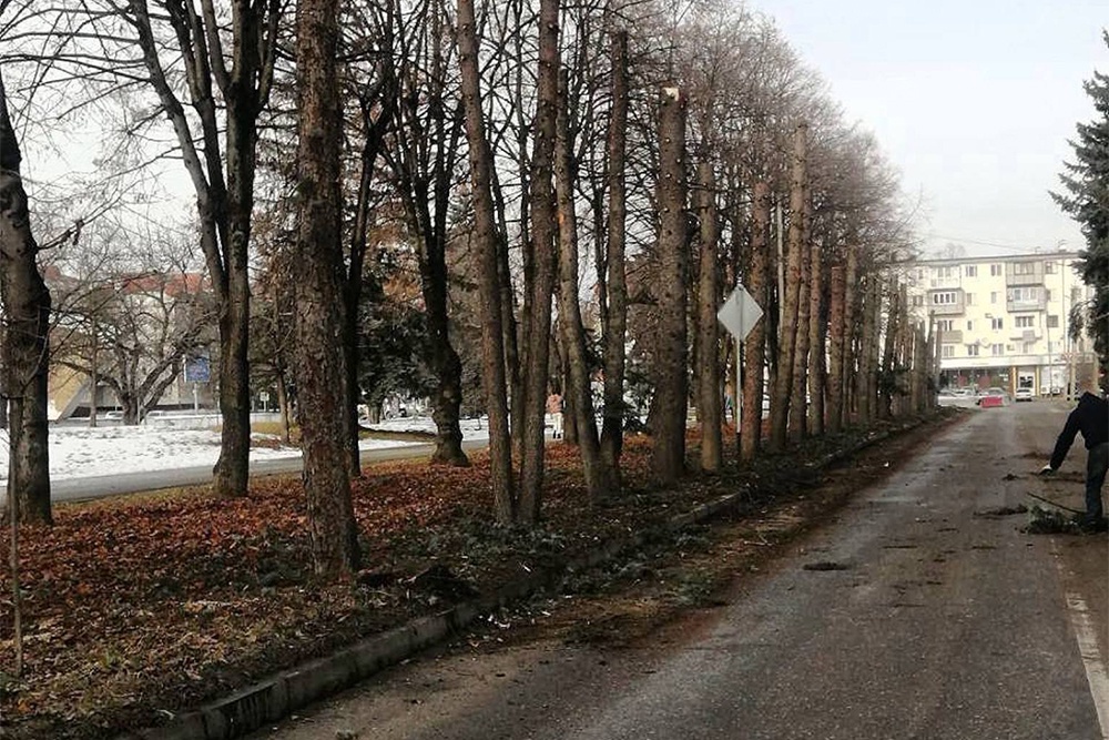 Вырубку на улице Карашаева теперь расследуют сотрудники СКР.