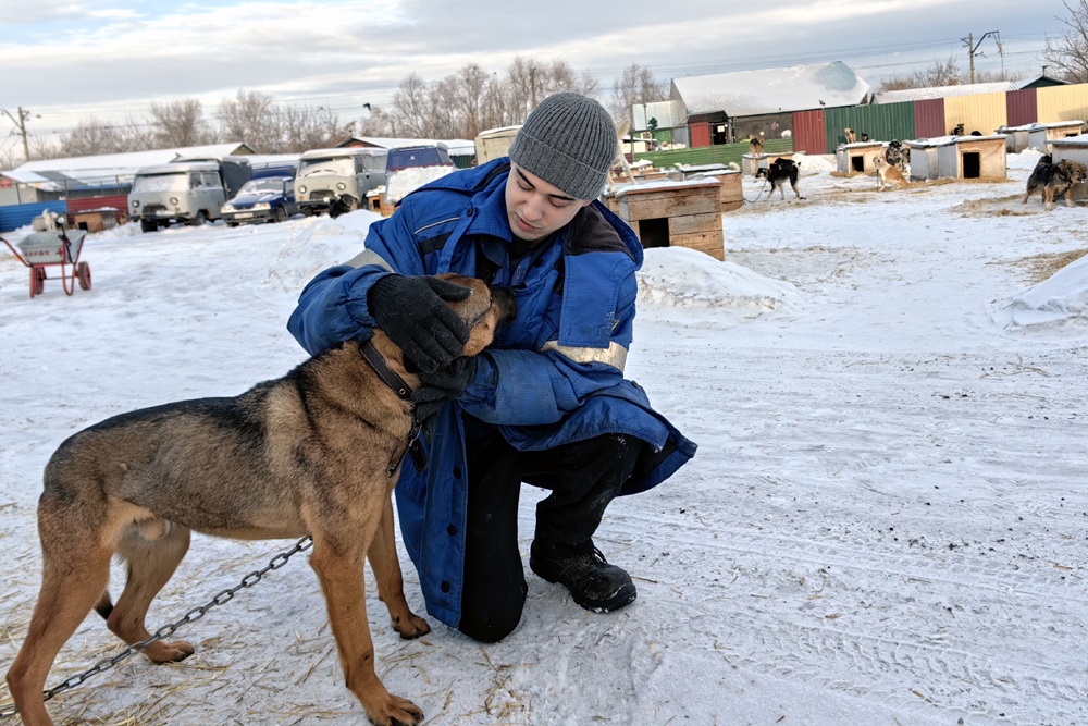 За последние два года муниципальный приют передал омичам более семисот животных За последние два года муниципальный приют передал омичам более семисот животных