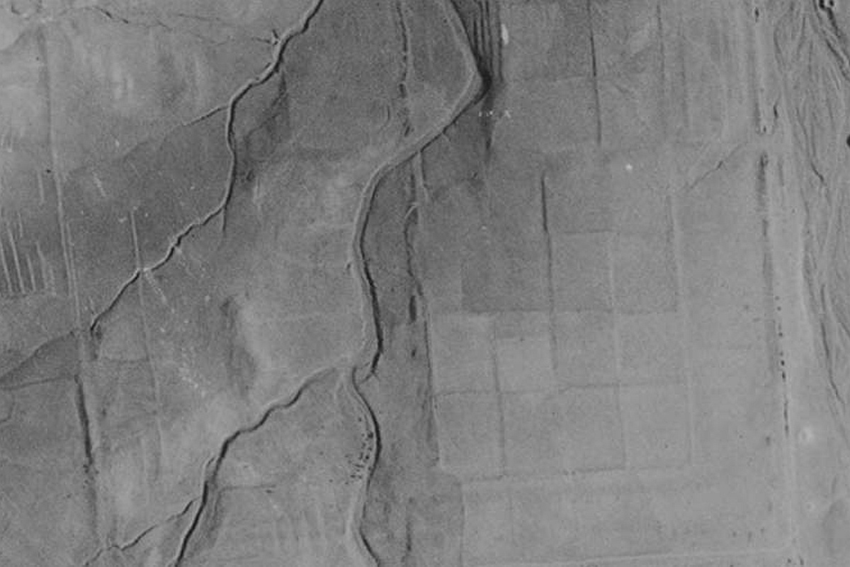 Участок сада, видимый на геореконструированной фотографии 1941 года.