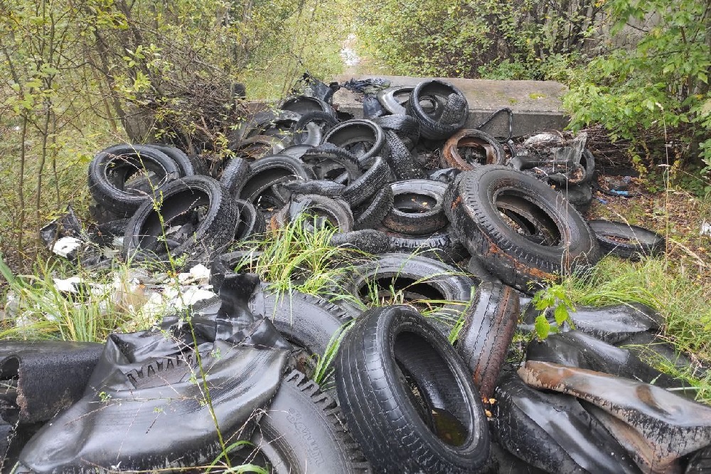 Незаконная свалка шин в зеленой зоне Незаконная свалка шин в зеленой зоне