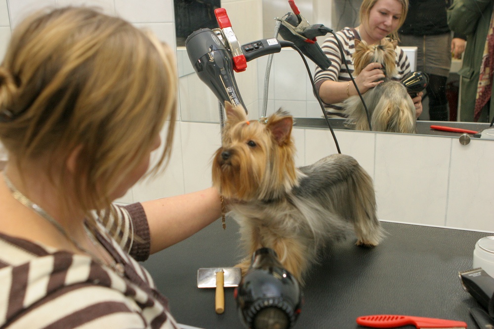 Специалисты по уходу за животными работают уже довольно давно.