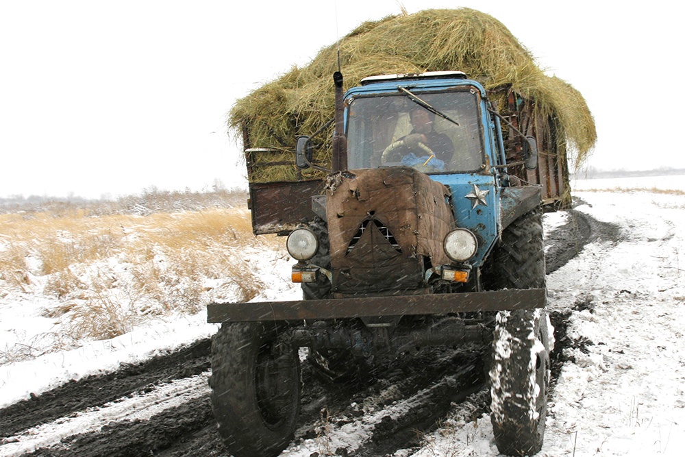 Снежный покров служит защитным "одеялом" для посевов.
