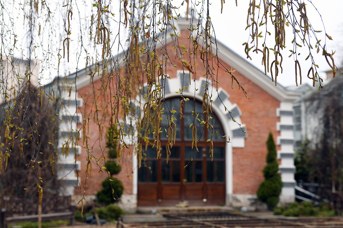 Оранжерея в Аптекарском огороде