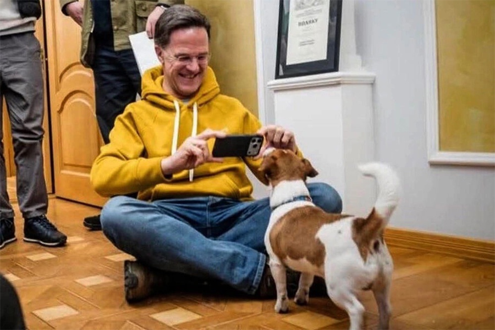 Генсек НАТО Марк Рютте утверждает, что "пес Патрон" с ним разговаривал. Этот? Разговаривал? Конечно, верим...