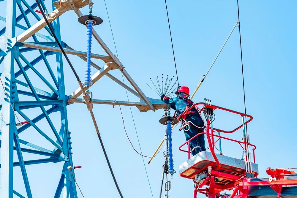 Такие устройства спасают птицам жизни - отпугивают их от мест, где можно получить удар током.