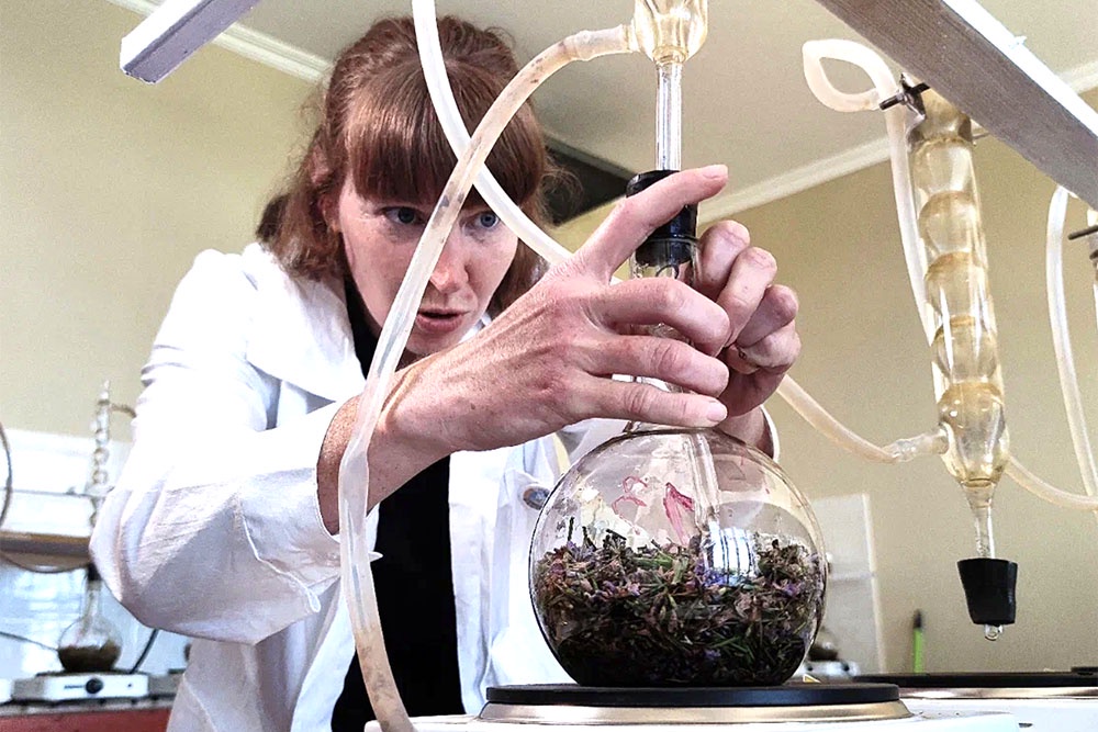 Натуральную косметику создают из эфирных масел розы, лаванды, мяты и десятков других растений, выведенных селекционерами.