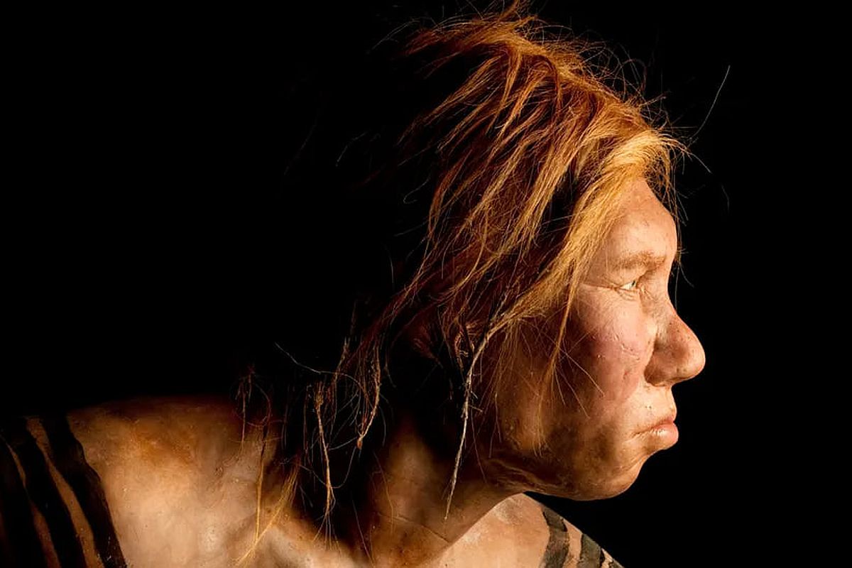 Осложнения беременности у неандертальцев могли привести к их вымиранию. Осложнения беременности у неандертальцев могли привести к их вымиранию.