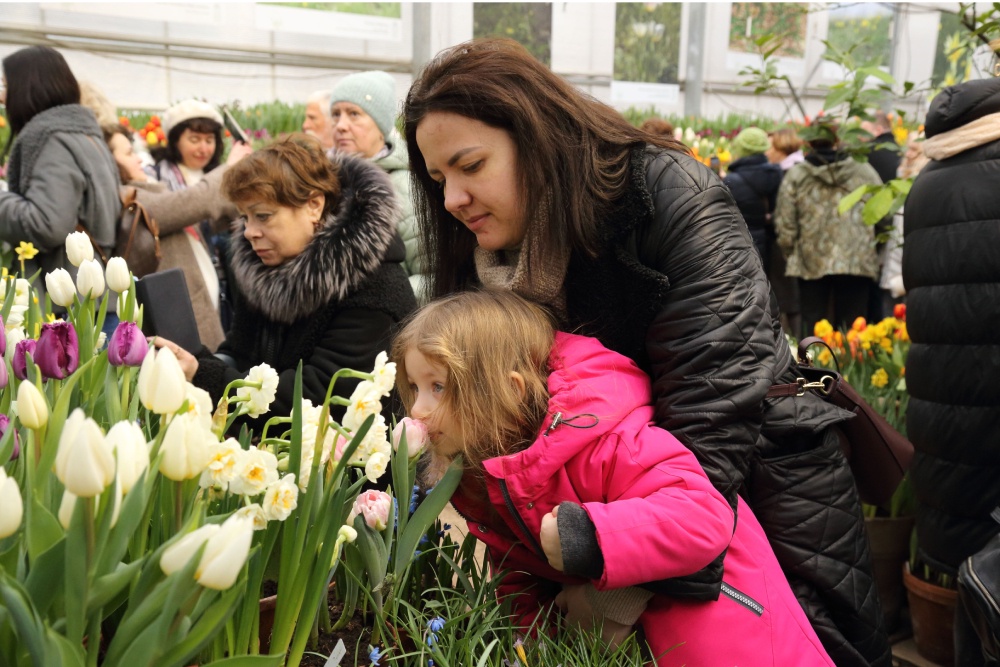 На выставке представлены сотни сортов тюльпанов: попугайные, бахромчатые, многоцветковые... 