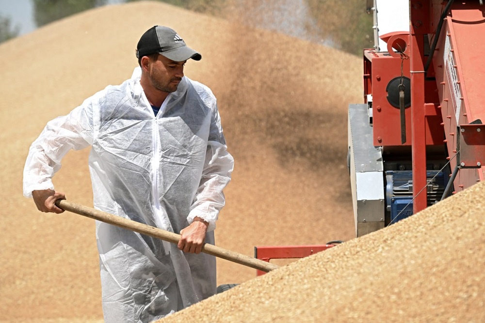 Чтобы не наращивать переходящие остатки, в этом году Россия должна продать зерна больше, чем в 2025-м