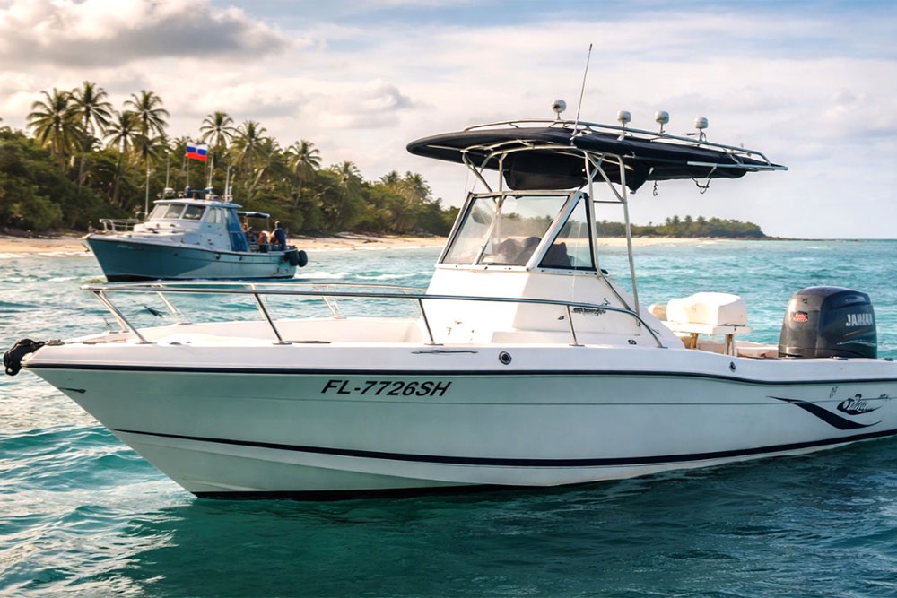 Как утверждают СМИ, именно на этом катере диверсанты пытались достичь Кубы. Но были остановлены.