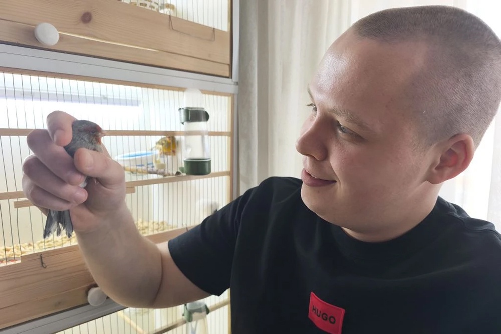 В квартире Максима - канареечное царство. Он не расставался с птицами даже в Донбассе: поймал щеглов, соорудил клетку и носил ее за собой по окопам, а выпустил питомцев уже во Владикавказе.