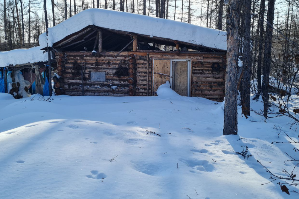 Охотничья избушка, до которой не дошли отец и сын. Охотничья избушка, до которой не дошли отец и сын.