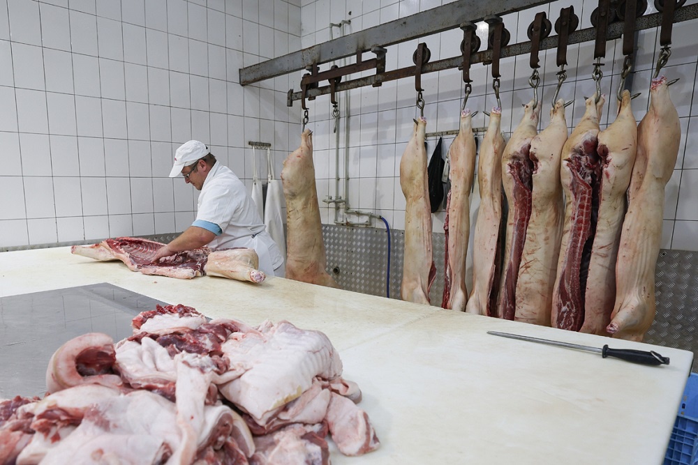 В сегменте свиноводства центральные регионы обеспечивают более половины объема.