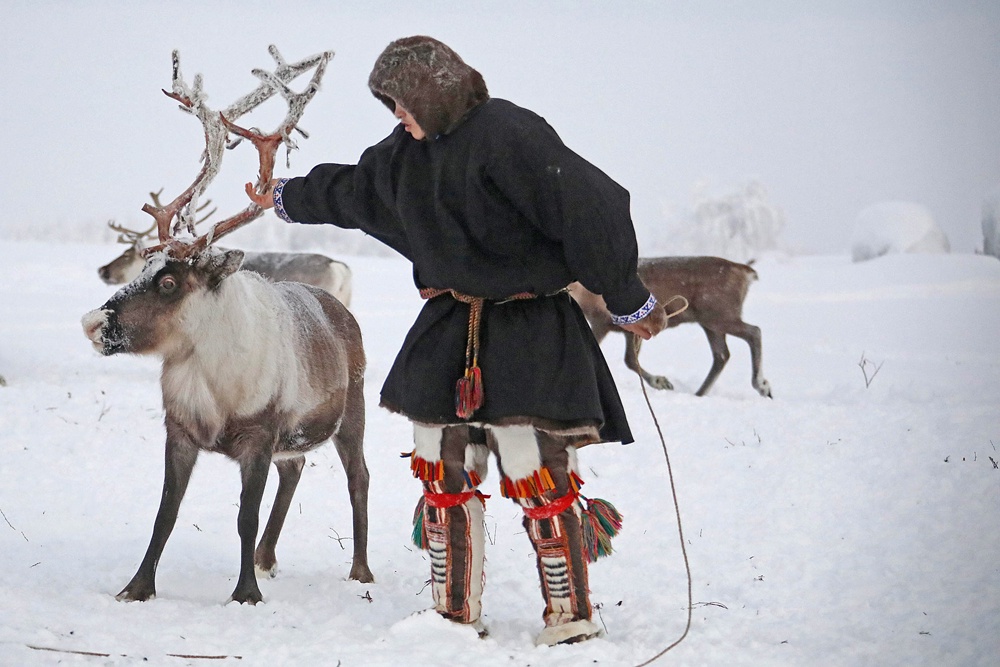 По словам производителя, одежда с утеплителем на основе оленьей шерсти гораздо практичнее и легче, чем традиционная малица.