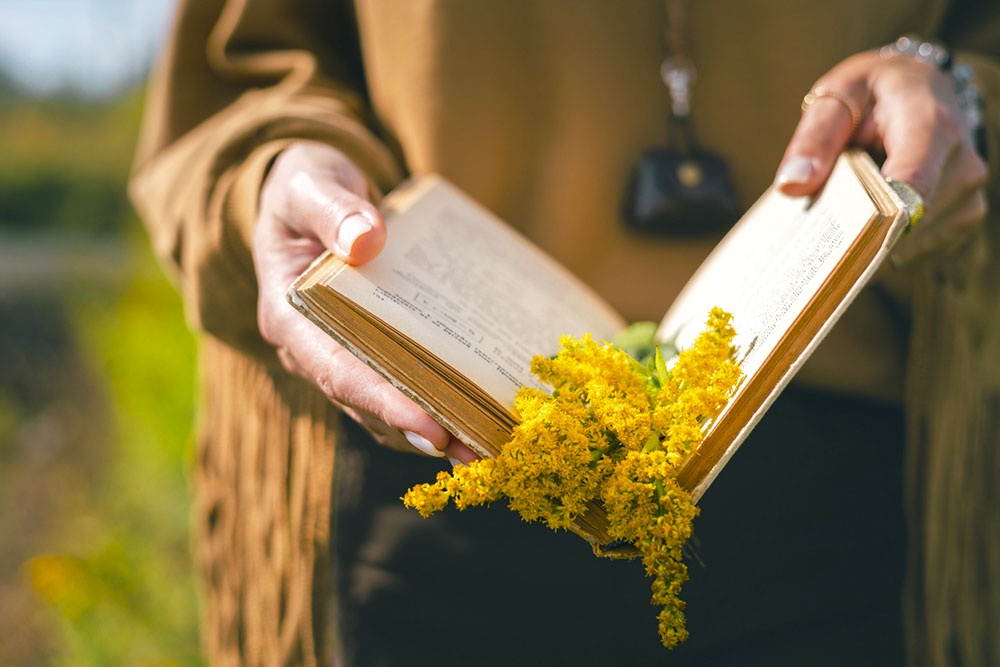 Человек читает книгу с классическим романом.