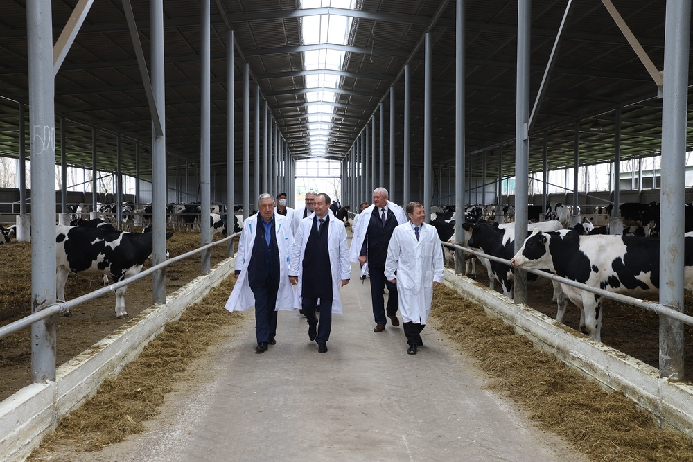 Побывав на ферме ЗАО КСП "Хуторок" Новокубанского района, Юрий Бурлачко (второй слева) отметил профессионализм здешних животноводов