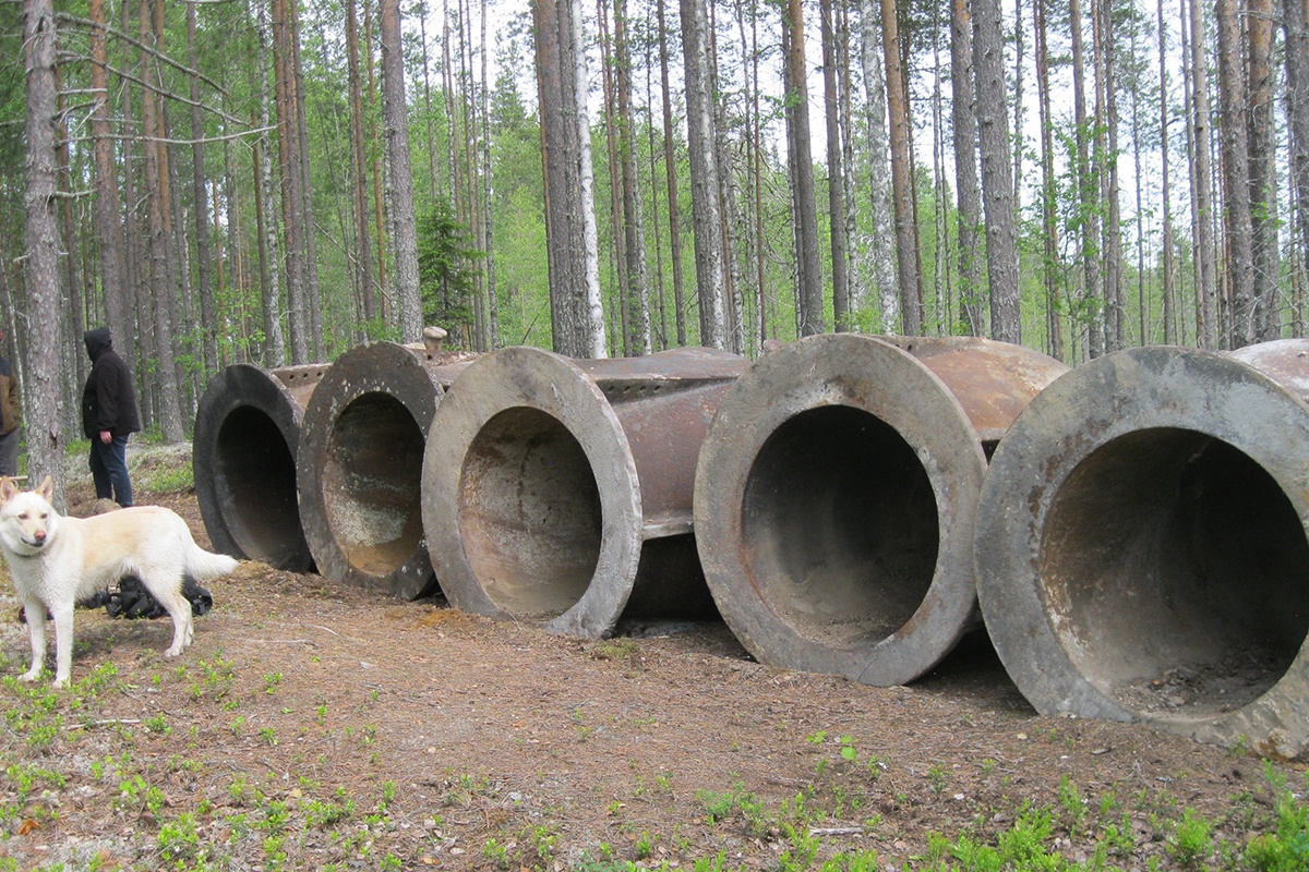 Так выглядели бронеколпаки в лесу. Теперь там ничего нет.