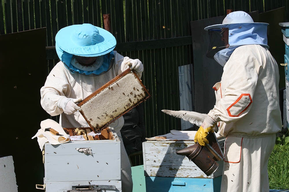 Подсчитать запасы меда непросто - значительную часть его пасечники продают на рынках и ярмарках.