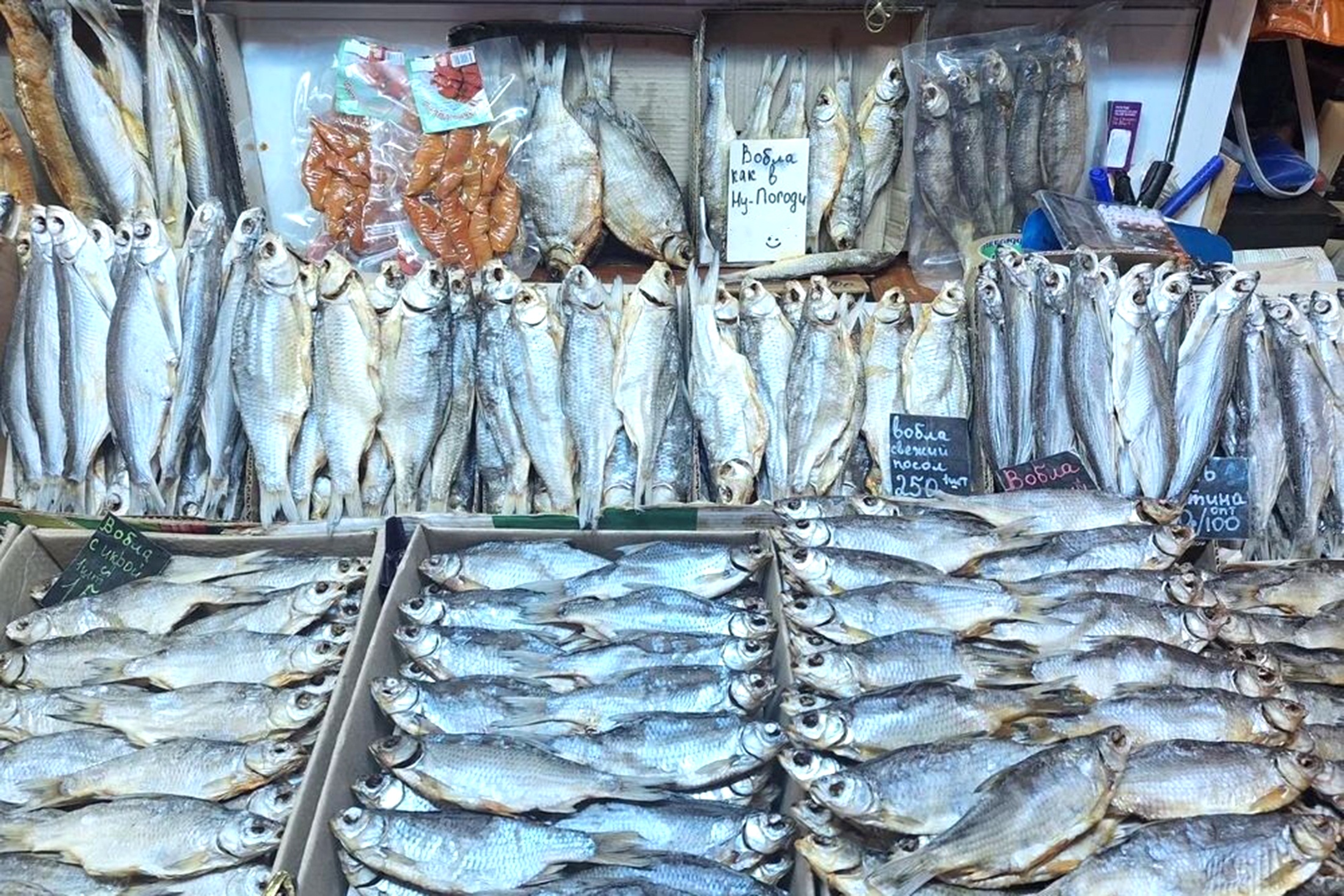 Вылов воблы в Астрахани запрещен, но она все равно попадает на прилавки.