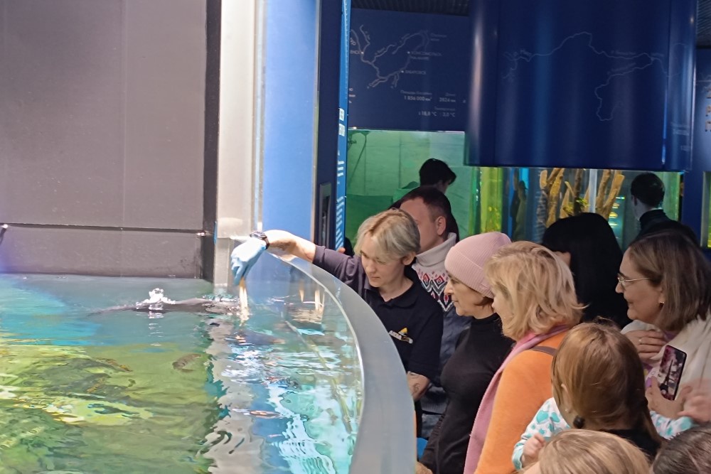 Рацион корректируется в зависимости от настроения и состояния здоровья обитателей аквариумов.