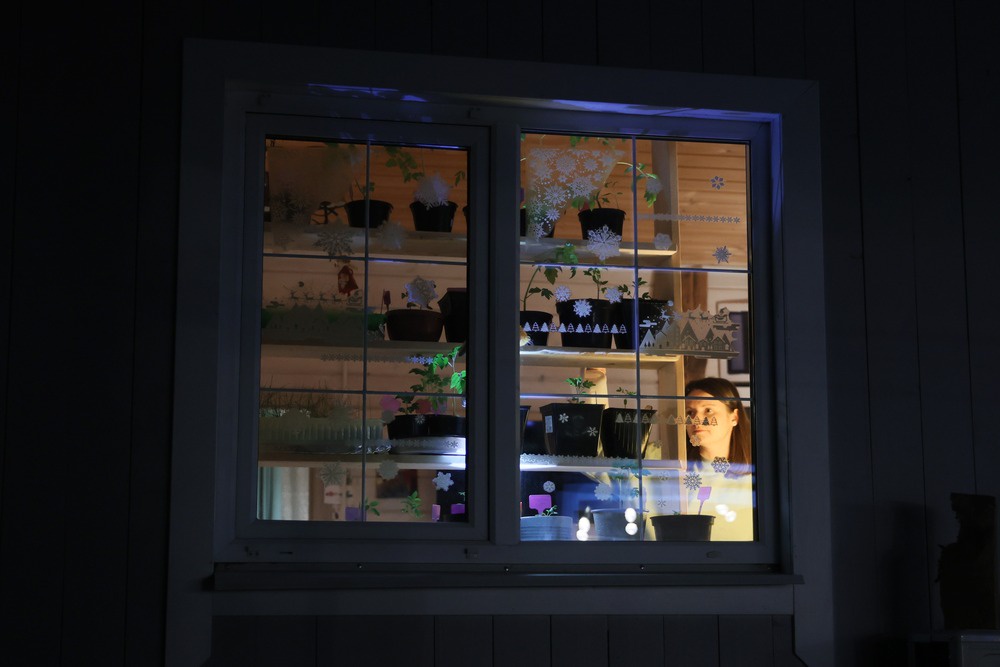 Посевная в разгаре. Правда, пока на подоконниках - в горшочках с рассадой: там сейчас закладывается фундамент урожая.