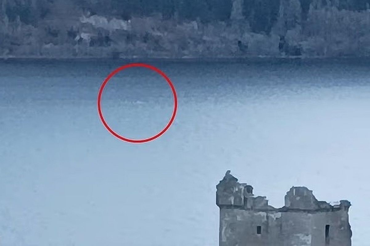 Скрин с видео, на которое случайно попало быстро движущееся существо, поднимающееся и опускающееся из озера Лох-Несс (на фото обведено красным).