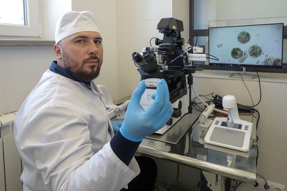 Вадим Ачилов, доцент кафедры генетики и репродуктивных технологий СПбГУВМ, рассказал "РГ", как эмбрионы из пробирки подсаживают коровам - суррогатным матерям.