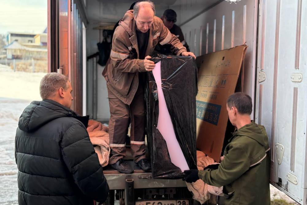 В школах Благовещенска установят автоматы с полезной едой