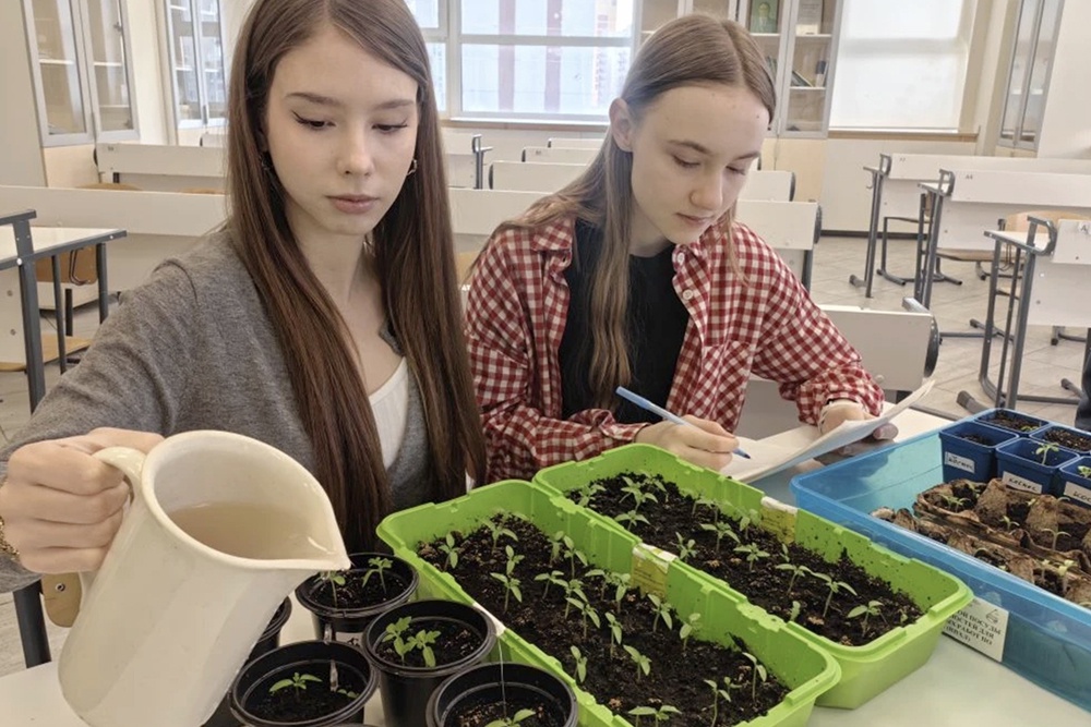 Ребята из московской школы N 1980, как и другие участники нашего эксперимента, с удовольствием заботятся о "биокосмонавтах". 