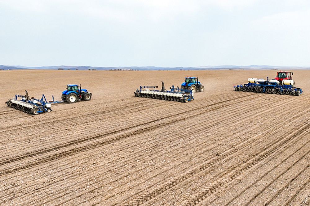 Приморские аграрии из года в год увеличивают засеваемые площади, а также расширяют ассортимент выращиваемых культур.
