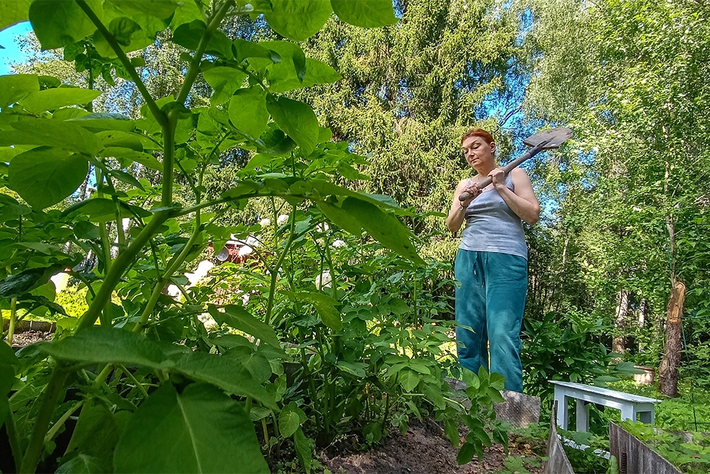 Теперь закон обязывает садовода уничтожать запрещенные сорняки.