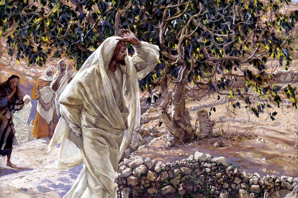 "Проклятая смоковница". Джеймс Тиссо. 1886 - 1892 гг. "Проклятая смоковница". Джеймс Тиссо. 1886 - 1892 гг.