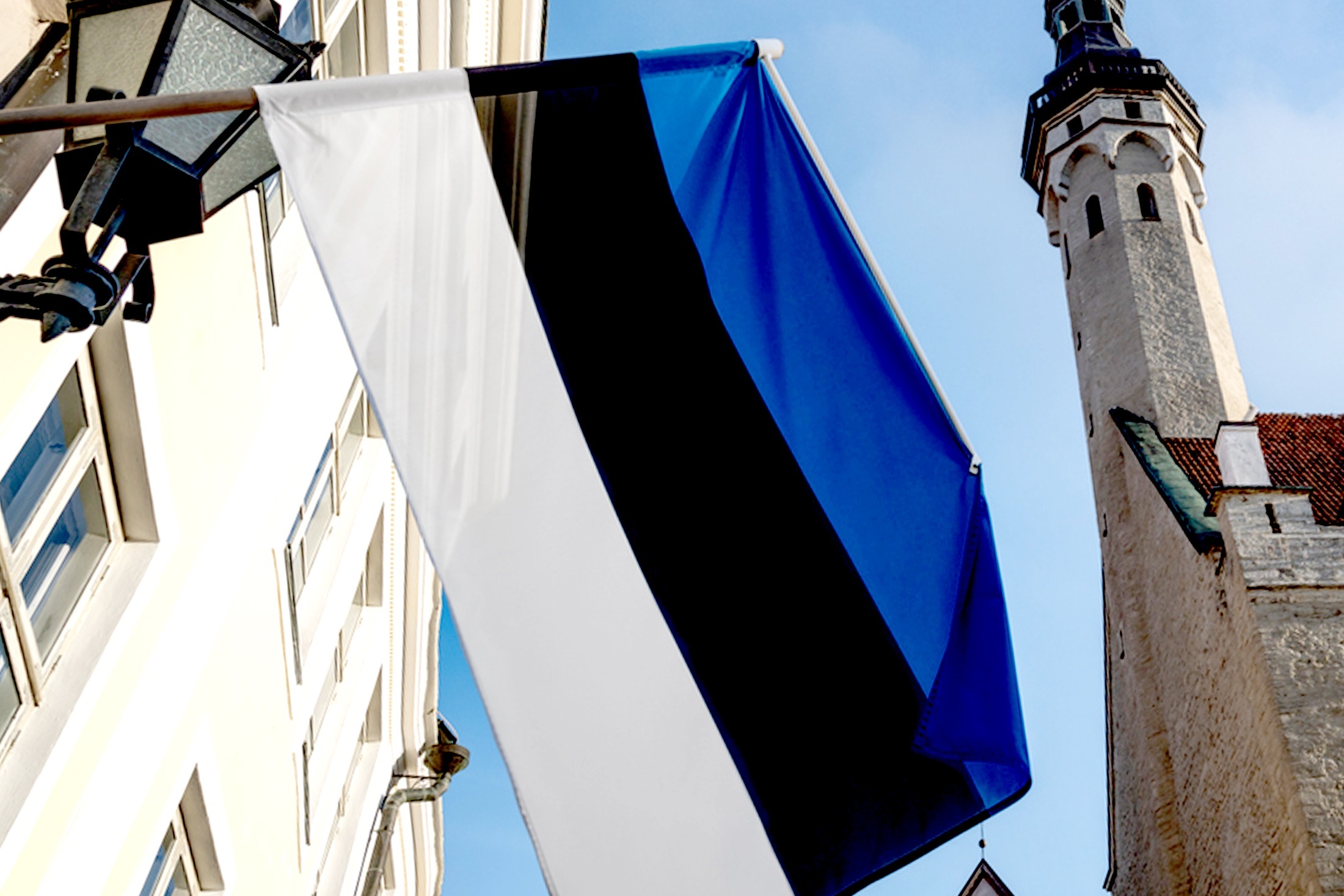 Тортуга на Днепре. Украинское мошенничество добралось до окраин ЕС